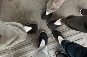 国庆·千里自同风